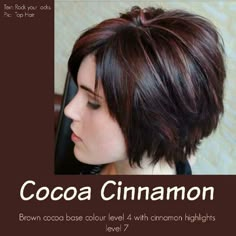 Dark brown  with mahogany highlights Cocoa Cinnamon Hair Color, Cinnamon Hair Colors, Cinnamon Hair, Short Layered Bob Hairstyles, Layered Bob Hairstyles, Short Hair With Layers, Bob Haircuts