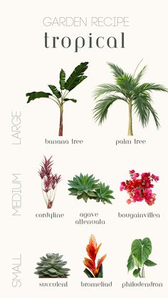 a poster with different types of tropical plants