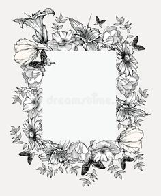 an artistic floral frame with flowers and butterflies on a white background stock photo - 9179