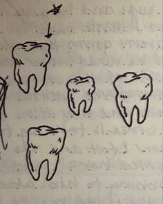 four different types of teeth drawn on a piece of paper