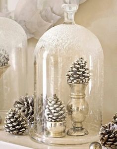 some pine cones are under a clochet on a shelf next to other items