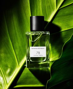 a bottle of perfume sitting on top of a green leaf