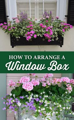 two windows with flowers in them and the words how to arrange window box on top