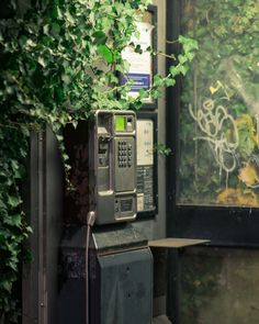 an old fashioned pay phone sitting in front of a wall covered with vines and ivys