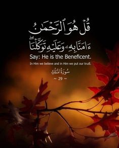 an arabic quote with red leaves and the words say he is the benefcent