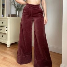 Velvet High Waisted Pants With Side Pockets. Burgundy Color Pink Wide Leg Bottoms For Fall, Fall Wide Leg Pink Pants, Pink Fitted Wide Leg Pants With Pockets, Fitted Pink Wide Leg Pants With Pockets, Pink Fitted Wide Leg Pants, Pink Fitted Wide-leg Pants, Pink High Waist Wide Leg Pants For Fall, Pink Wide Leg Pants For Fall, Zara High Waist Pink Bottoms