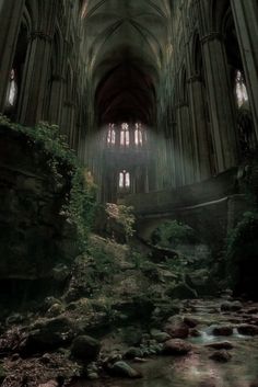 the inside of a cathedral with water running through it and trees growing on the ground