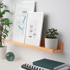 two framed pictures on a wooden shelf above a white desk with a green plant and books