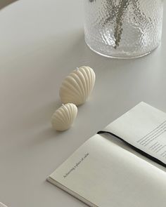 three seashells are sitting on a table next to an open book and pen