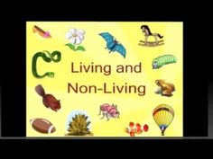 an image of living and non - living words in front of a yellow background with cartoon animals