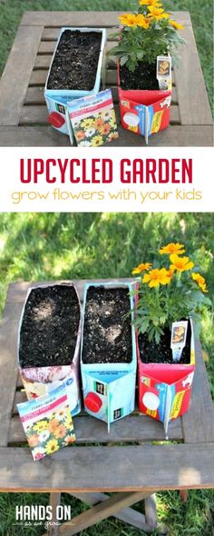 two pictures showing the different stages of growing flowers in pots on a wooden table with text overlay