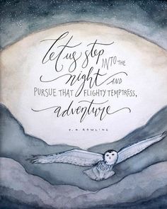 an owl flying through the air with a quote above it that reads, we stop into the night and pursue that flighty tempestness, adventure