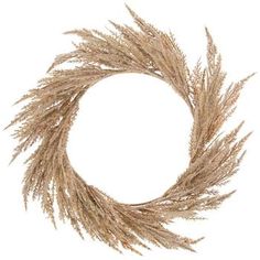 dried grass on a white background