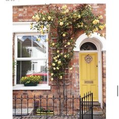 a yellow door with roses growing on the side of it next to a black iron fence