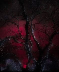 a tree with no leaves in front of a dark red sky and some snow on the ground