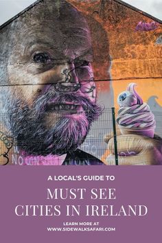 the cover of a local's guide to must see cities in ireland