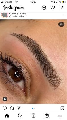 Back Arched Eyebrows, Eyebrow Shapes Straight, Uneven Brows Eyebrows, Feathered Microblading Eyebrows, Soft Arch Eyebrows Shape, Eye Brow Inspiration, Straight Laminated Brows, Microblading Eyebrows Brunette, Dark Brown Microbladed Eyebrows