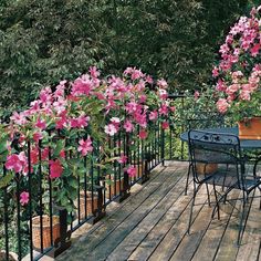 a table and chairs on a wooden deck with pink flowers growing over the railings