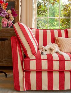 a dog laying on top of a red and white striped couch next to a window