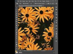 an image of yellow flowers in the middle of a photo with black and white background