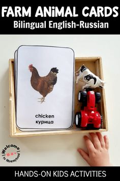 farm animal cards bilingual english - russian with pictures of chickens and farm animals in a wooden box