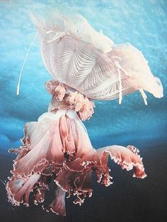 an underwater view of a jellyfish in the water with it's head upside down