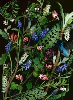 a blue butterfly sitting on top of a bunch of purple and white flowers with green leaves