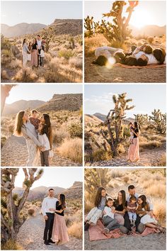 a group of people sitting on top of a dirt field next to a cactus tree