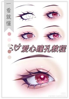 an image of various types of eyes