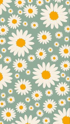 Green Daisy Wallpaper, Green Daisy, Daisy Wallpaper, Phone Background, Cute Wallpaper, Green Background, Phone Backgrounds, Iphone Wallpapers, Flower Pattern