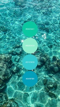 the water is very clear and blue with some green circles on it's side