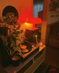 a living room with a potted plant on top of a stove and a red light in the corner