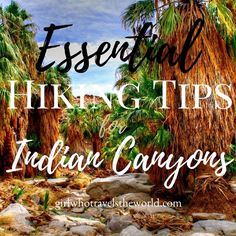 Get all the top tips for hiking in the popular Indian Canyons area of Palm Springs, California!! Hiking Palm Springs, Palm Springs Hiking Trails, Palm Springs Hiking Outfit, Indian Canyons Palm Springs, Desert Travel, Palm Spring, Palm Desert