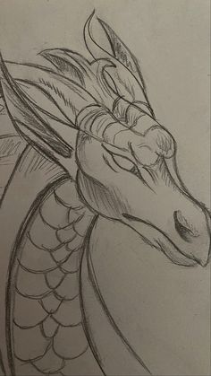 a pencil drawing of a dragon's head