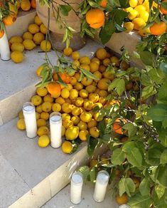 oranges and lemons are on the steps outside