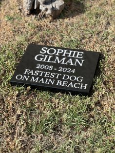 a plaque is placed on the ground in front of a tree stump and some grass