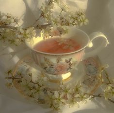 a tea cup and saucer with pink liquid in it