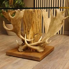 a wooden table topped with antlers next to a potted plant