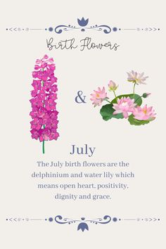 a card with flowers on it that says birth flowers and july the lily flower are the delphilimi and water lily which means open heart, positivity,