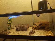 a fish tank filled with rocks and water next to a clock on top of a wall