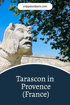 a lion statue with the words tarason in proven france