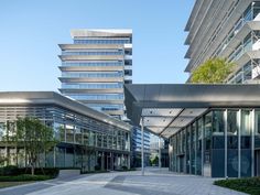 an empty walkway between two large buildings with glass windows on each side and trees in the middle