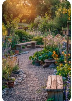 a garden filled with lots of different types of flowers and plants next to a bench