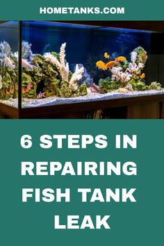 a fish tank with the words 6 steps in repairing fish tank leak