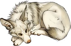 a drawing of a white wolf laying down