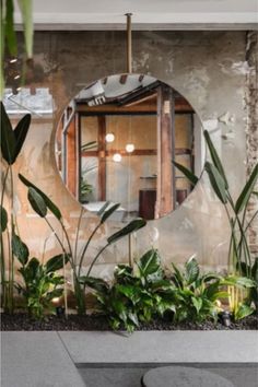 a mirror sitting on the side of a wall next to plants and potted plants