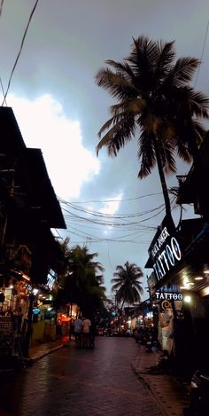 an empty street at night with palm trees