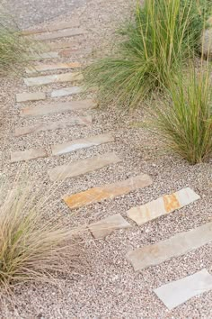 a stone path with grass and gravel in the background, leading up to some tall grasses