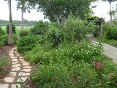 a path in the middle of a lush green field