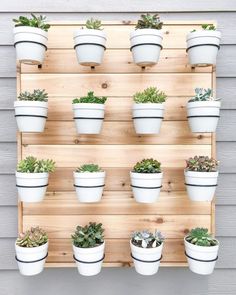 a wall mounted potted plant rack on the side of a building with succulents in it